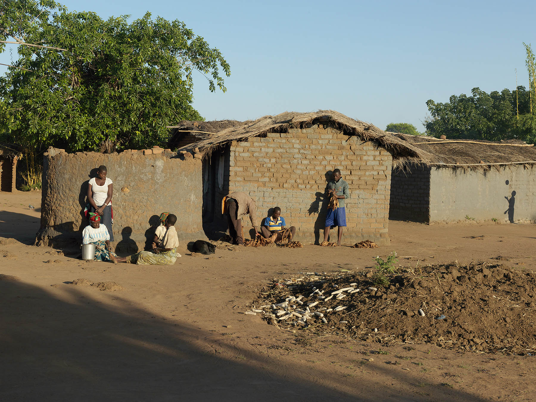 Malawi, Dickson village, a hamlet with 55 households and some 300 inhabitants.